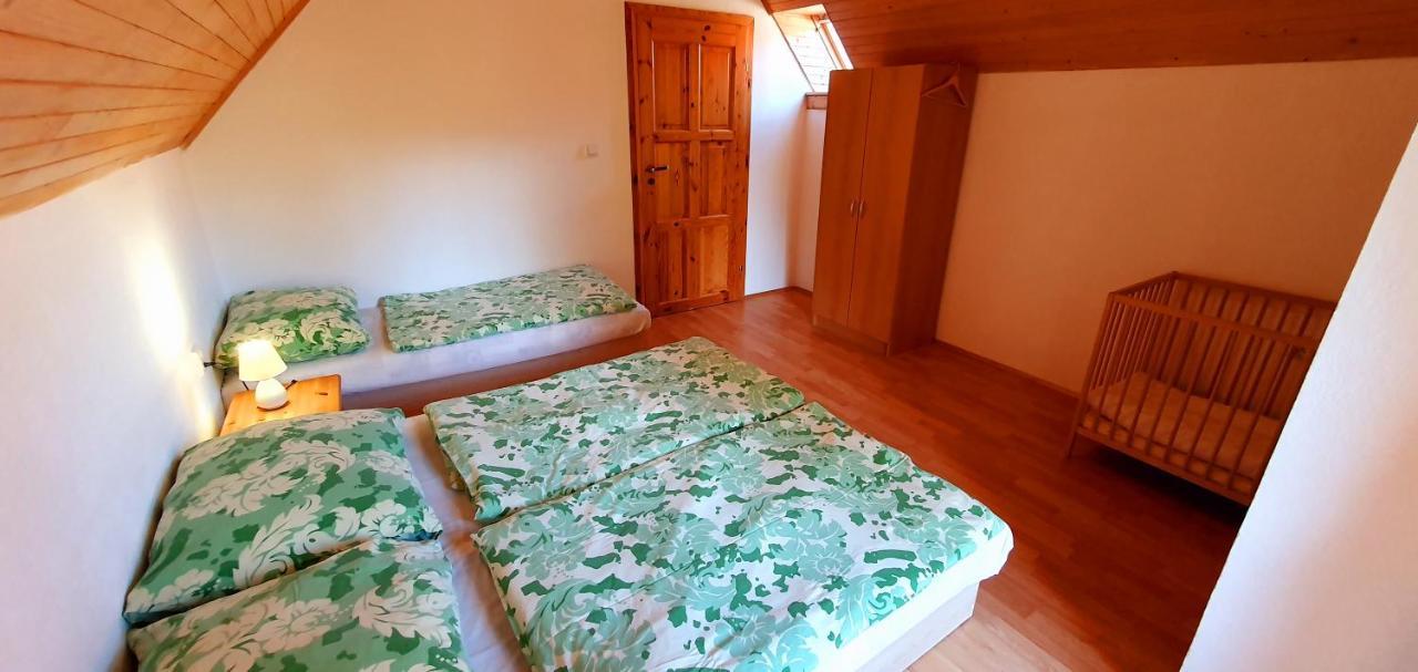 Vilka Cibulka A Chata Cesnacik Izipovce Экстерьер фото